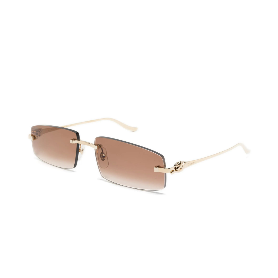 Monochromatic Sunglasses