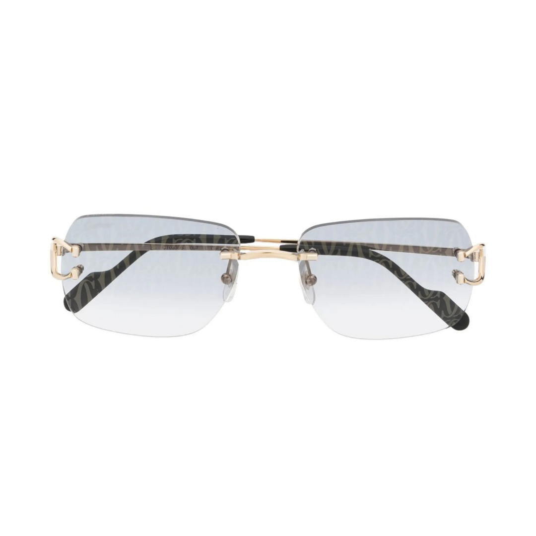 Polychromatic Sunglasses