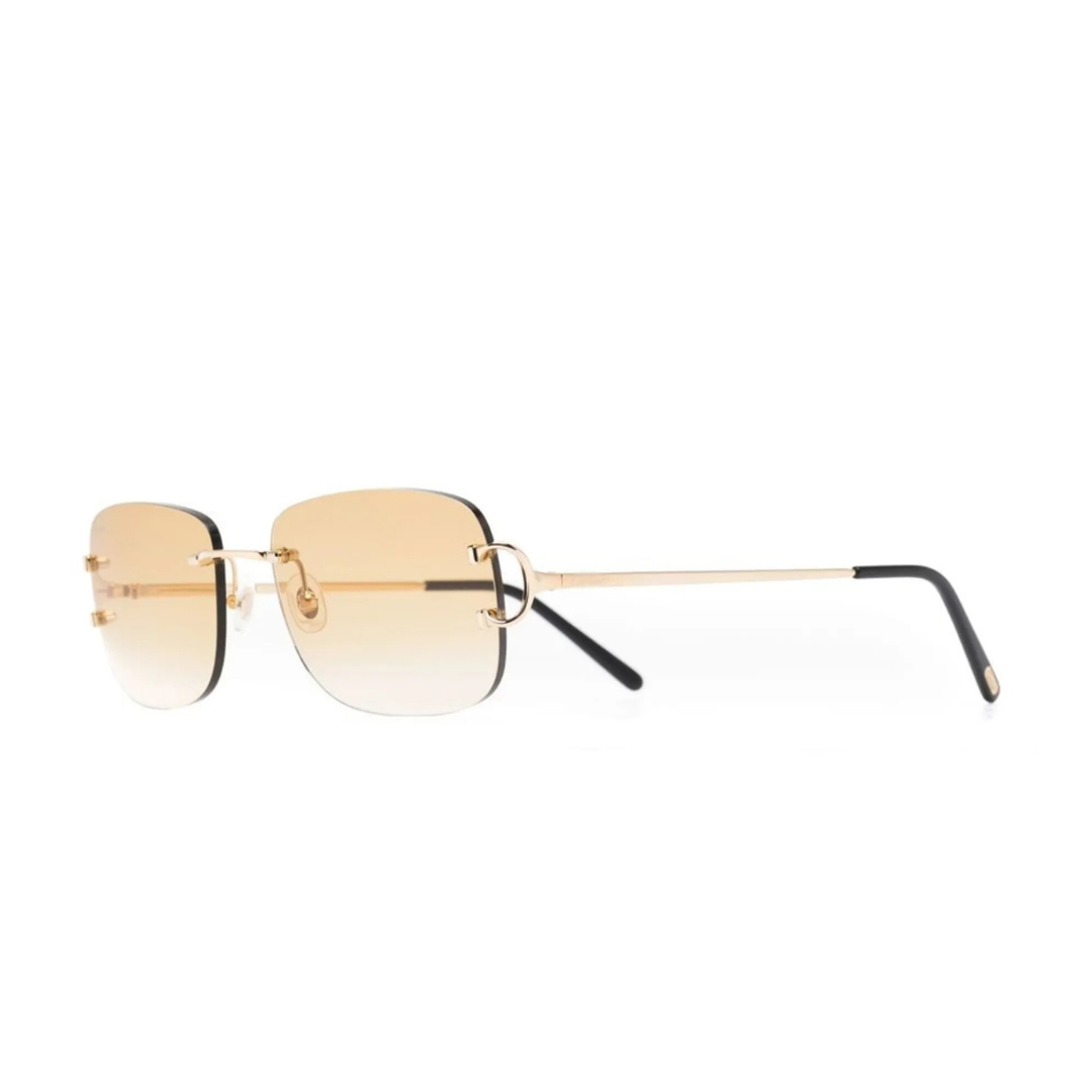 Monochromatic Sunglasses
