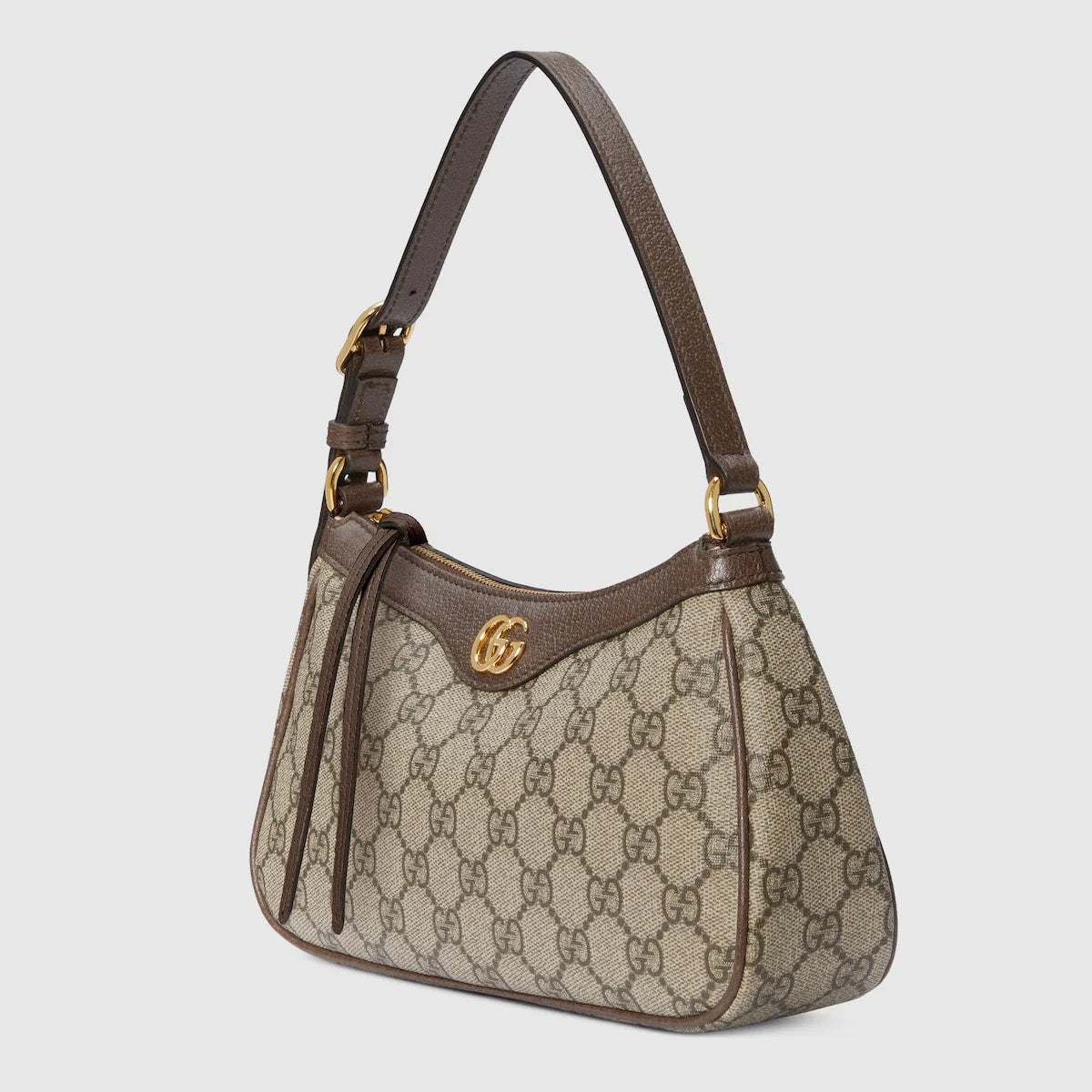 Bag V2